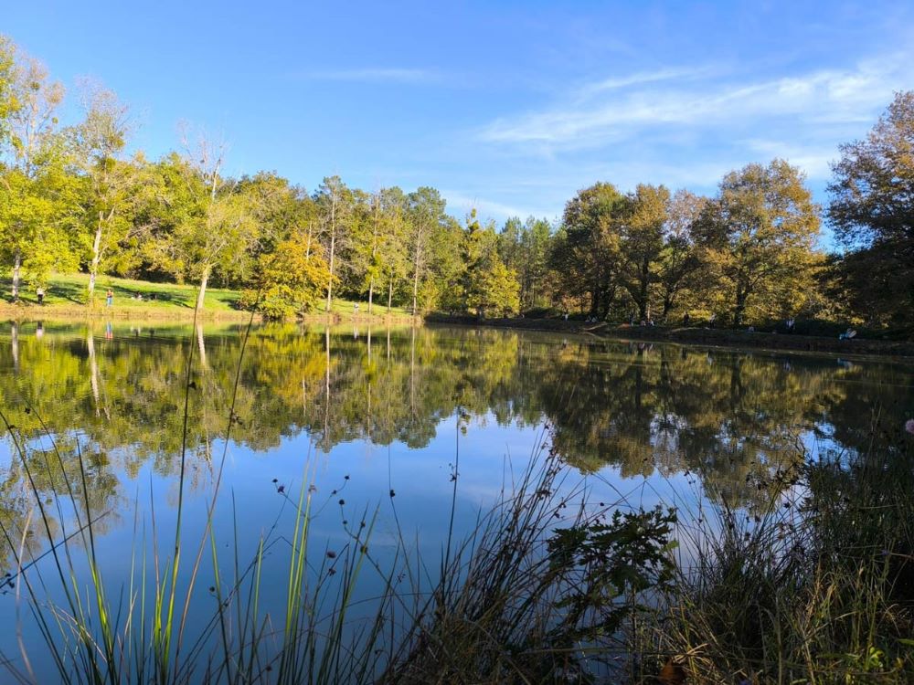 Le lac de la Forêt d'Écotone en automne