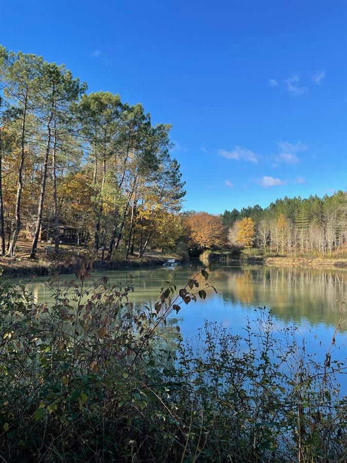 Le lac de la Forêt d'Écotone sous le ciel bleu