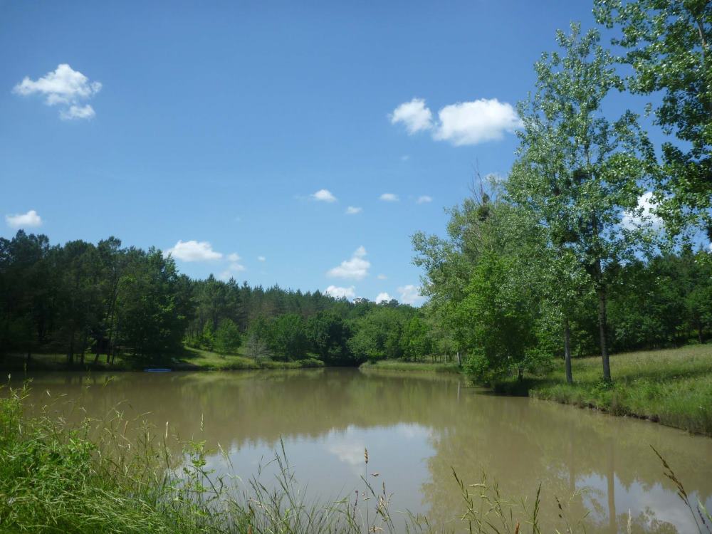 Le lac, photo 4