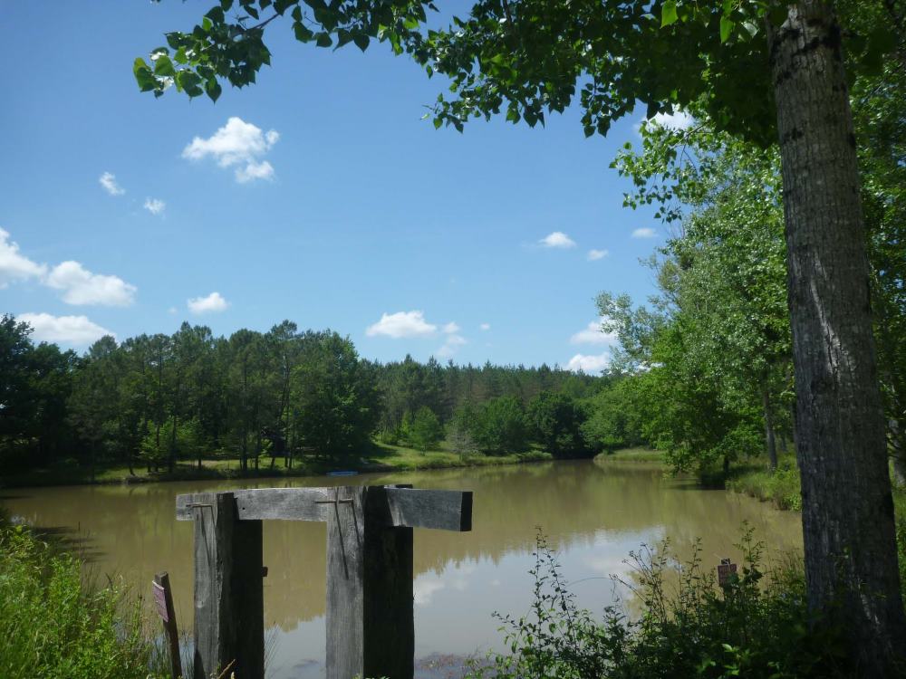 Le lac, photo 5