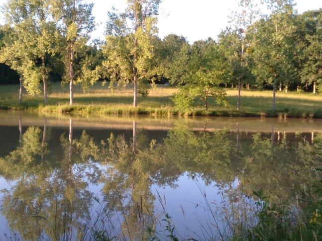 Le lac, photo 6