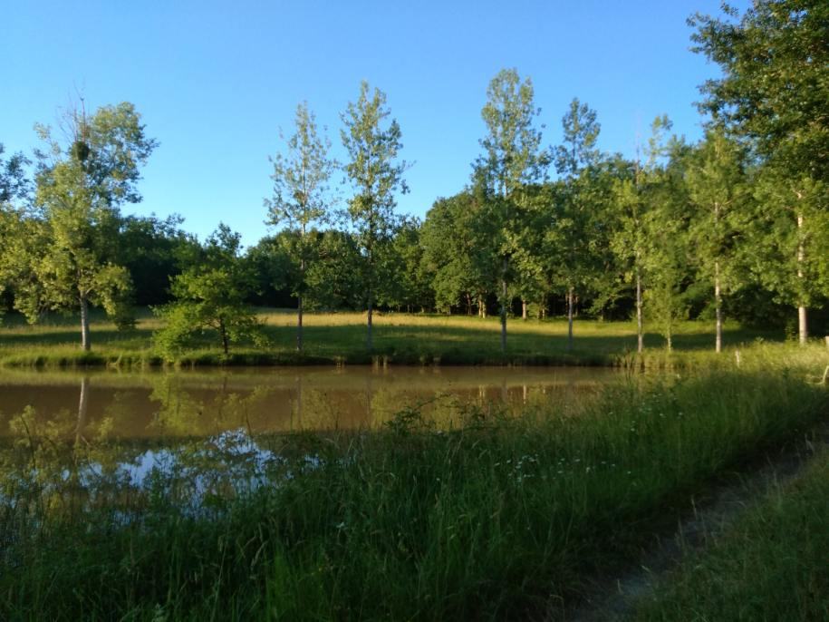 Le lac, photo 7