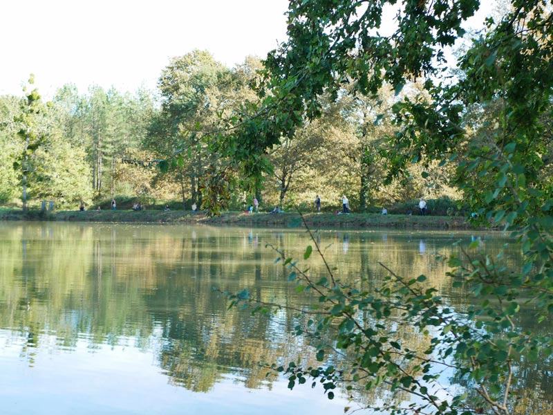 Le lac, photo 8