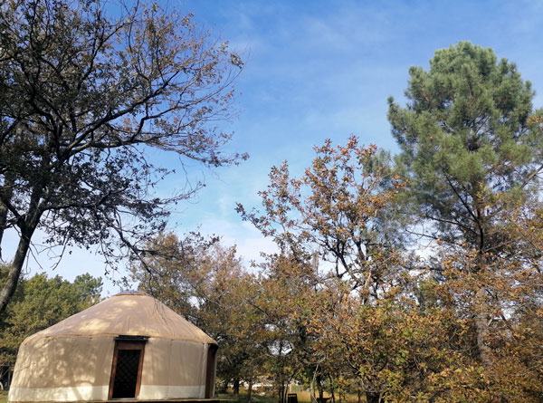 La yourte, photo 12