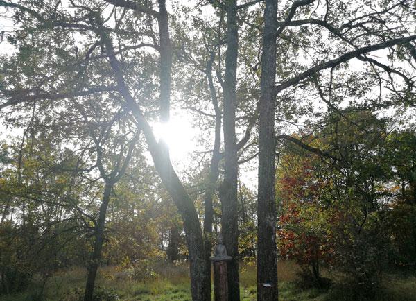 La yourte, photo 13
